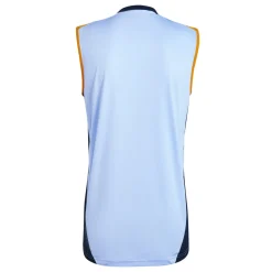 Homme Adidas España, S.A.U T-Shirts^Maillot Entraînement Sans Manche 24/25 Bleu hommes