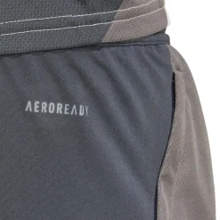 Homme Adidas España, S.A.U Pantalons^Short Entraînement LDC 24/25 Gris Clair hommes