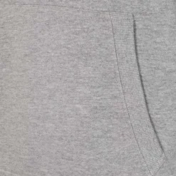 Homme T&F Sweats^Sweat à Capuche Essentials Color Écusson Gris Clair Hommes