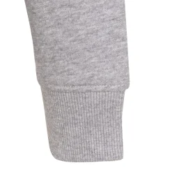 Femme T&F Sweats^Veste à Capuche Essentials Gris Clair Femmes